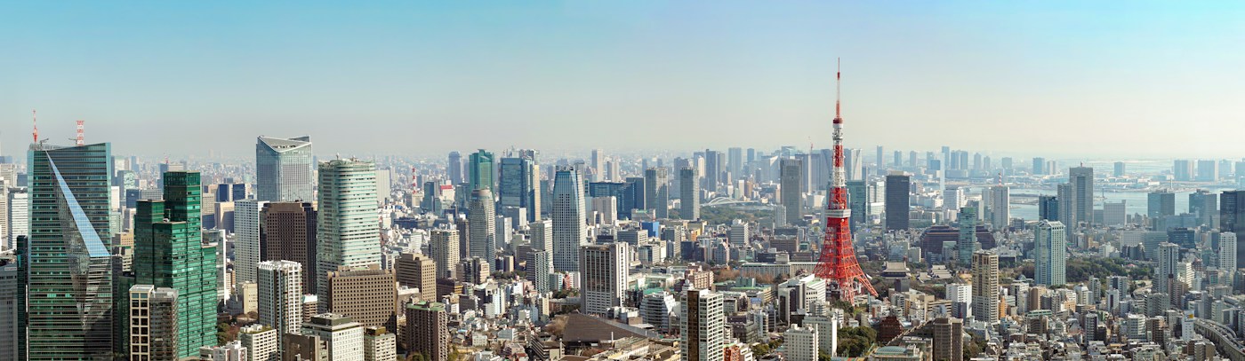 Tokyo skyline and Tokyo Tower at dusk